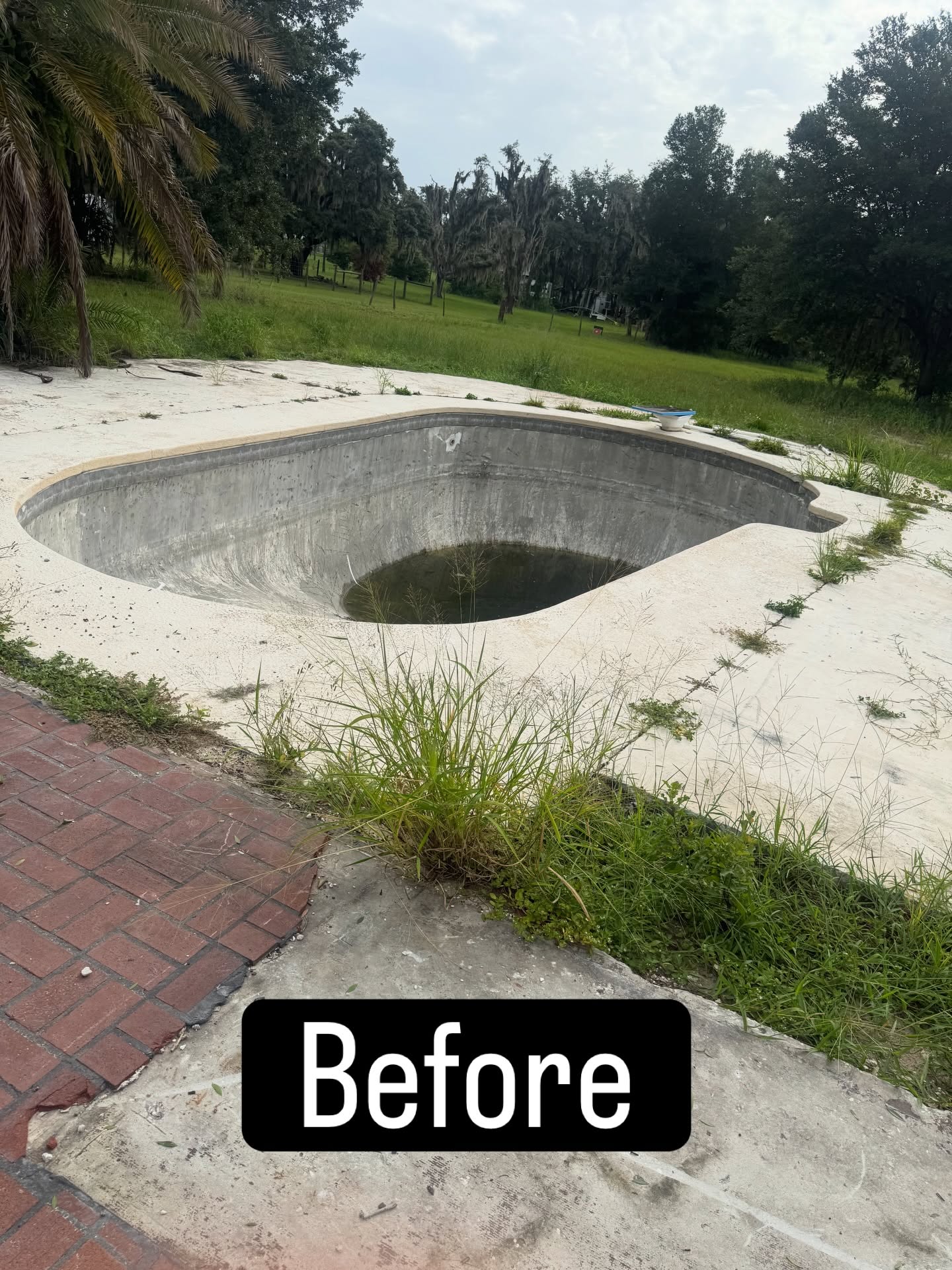 Commercial Services by AllStar Land Clearing